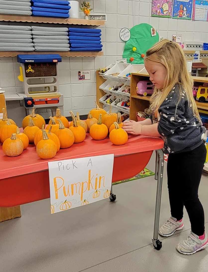 MPreschoolers's tweet photo. Decisions, Decisions π€π€ Which pumpkin will be the best??
Students took turns picking their favorite pumpkins then enjoyed painting them this week at school! π #pumpkinfun #littlezeps #gozeps #preschool #mstaylor https://t.co/GrvCyQUCdD