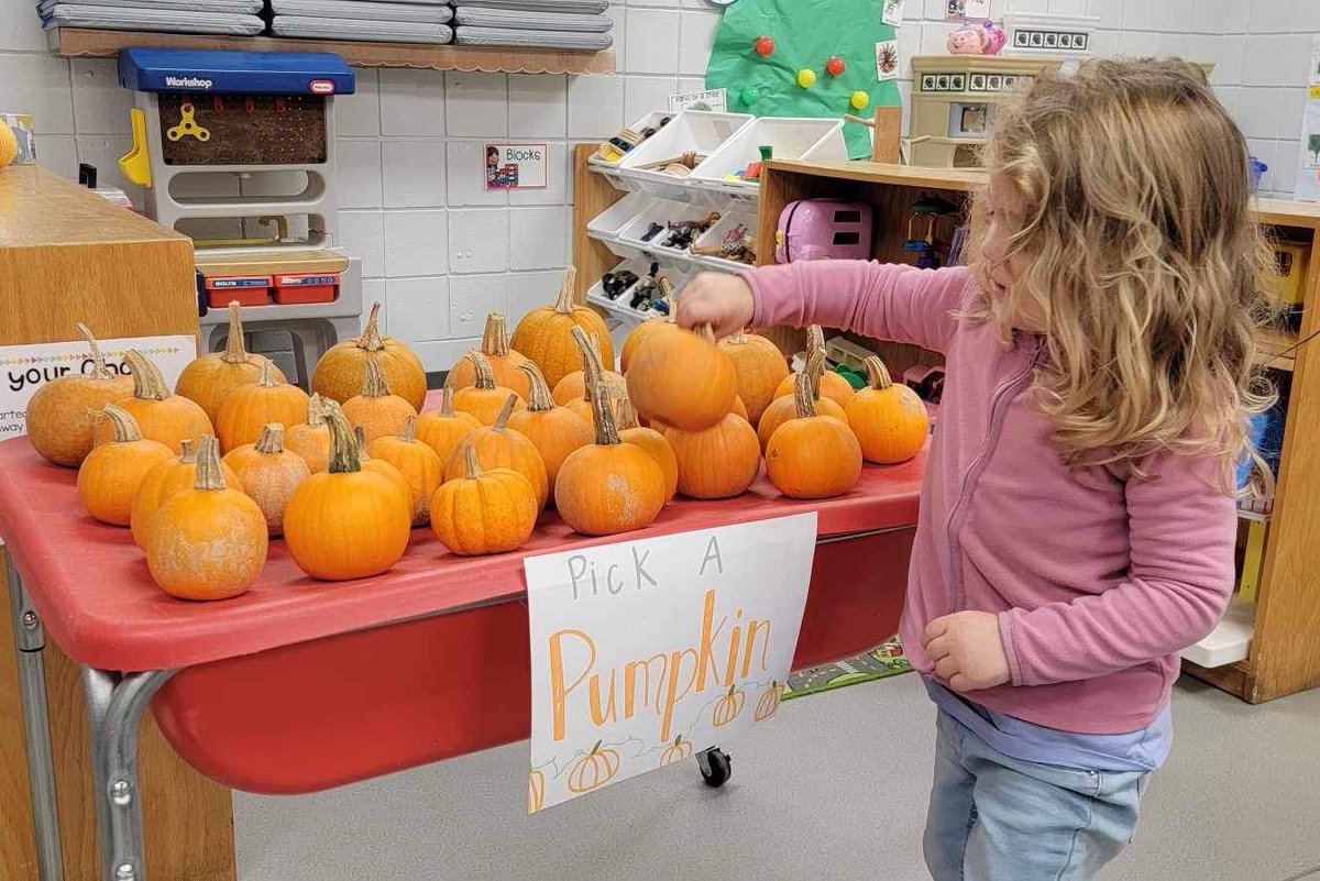 MPreschoolers's tweet photo. Decisions, Decisions π€π€ Which pumpkin will be the best??
Students took turns picking their favorite pumpkins then enjoyed painting them this week at school! π #pumpkinfun #littlezeps #gozeps #preschool #mstaylor https://t.co/GrvCyQUCdD