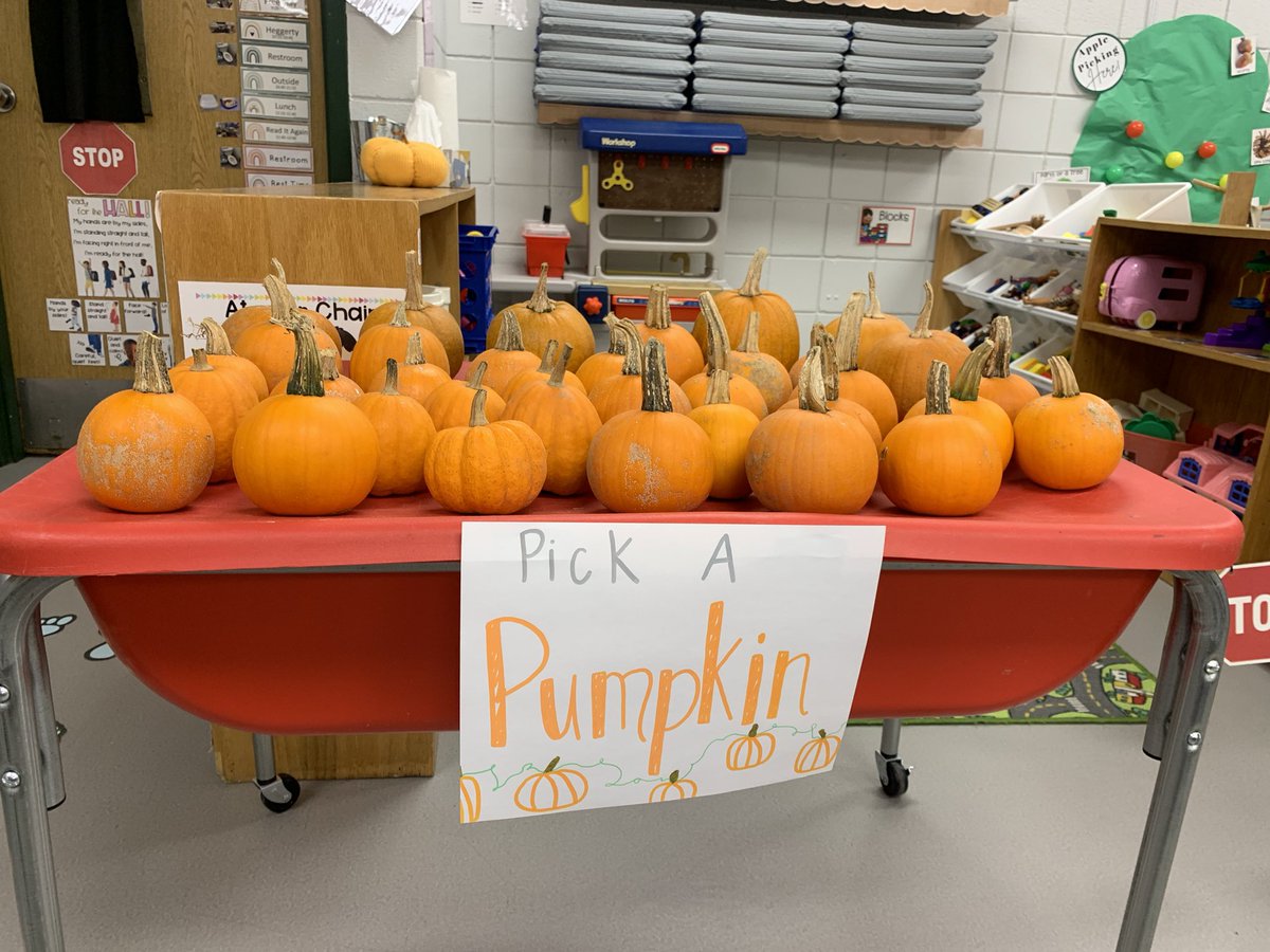 MPreschoolers's tweet photo. Decisions, Decisions π€π€ Which pumpkin will be the best??
Students took turns picking their favorite pumpkins then enjoyed painting them this week at school! π #pumpkinfun #littlezeps #gozeps #preschool #mstaylor https://t.co/GrvCyQUCdD