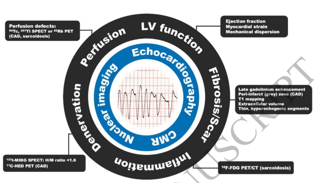 SeguraCardio's tweet image. 📌 Imaging in 👥 w/ cardiovascular implantable electronic devices – Part 1: Imaging before &amp;amp; during device implantation

#CIED #ePeeps