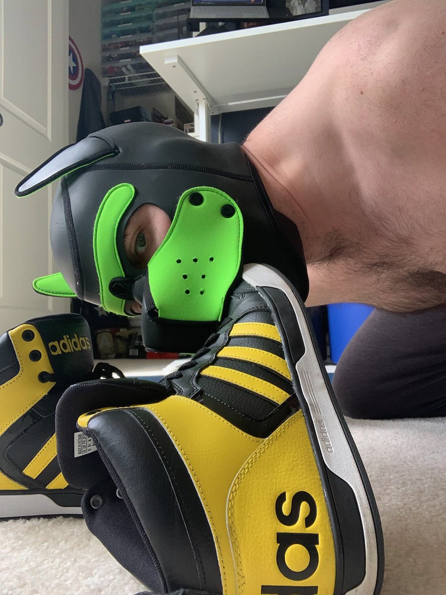 Max Madigan (Pup Max) tweet media