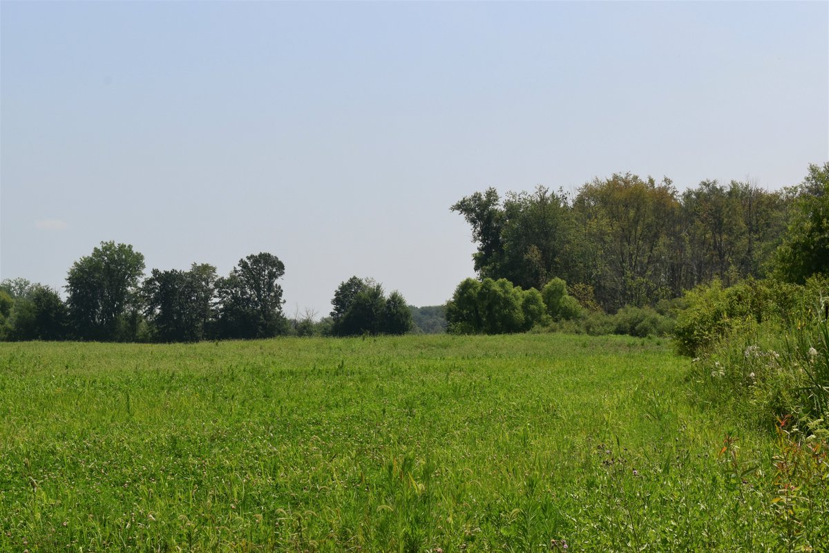 We’re growing Indiana’s public lands! 158 acres of prairie and wetland were added to Mallard Roost Wetland Conservation Area, creating new wildlife habitat and expanding the property’s outdoor recreation offerings. Read more in our latest impact story buff.ly/46zUQ3O