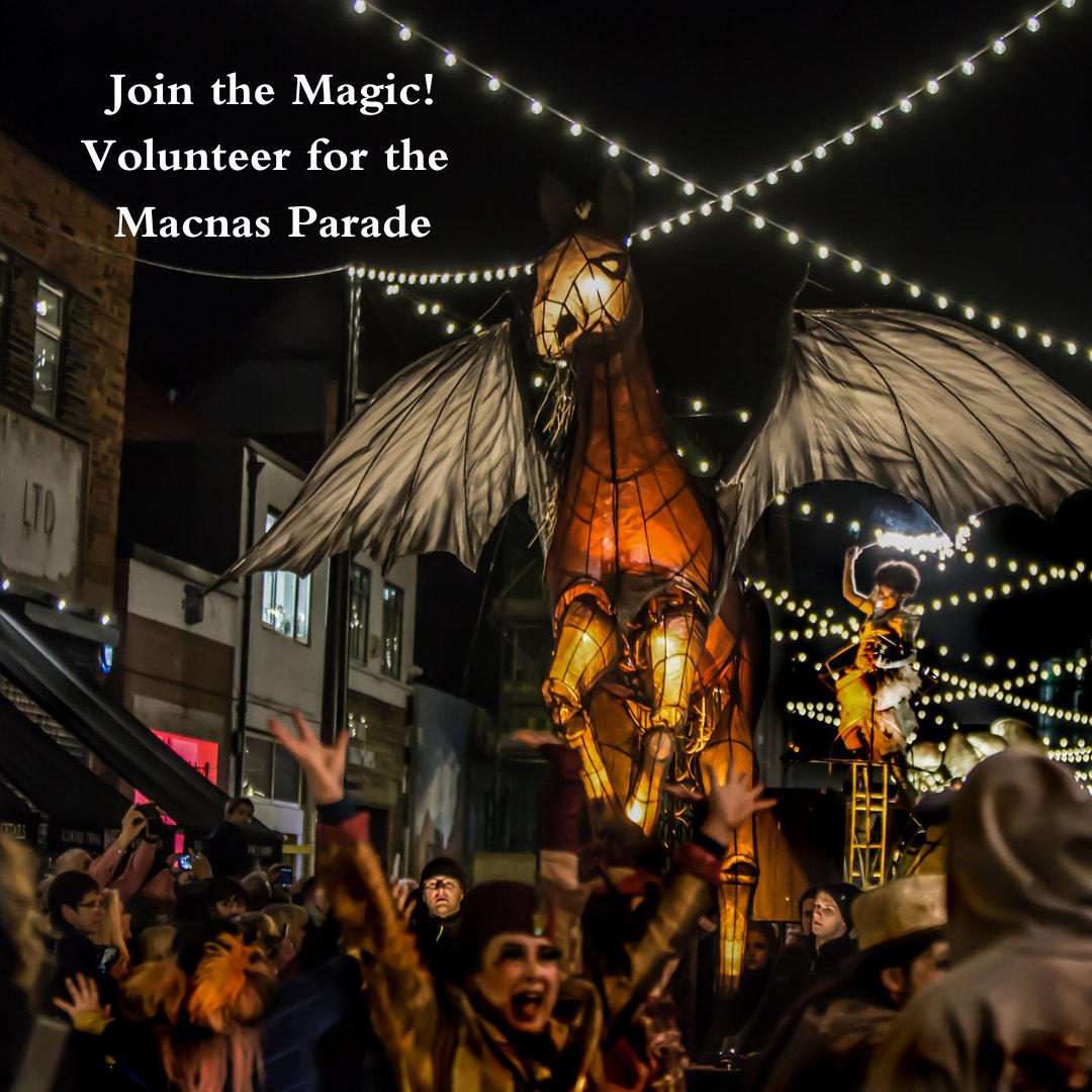 Get involved in the Macnas Parade! Email volunteers@macnas.com for more information or apply through the link in bio.