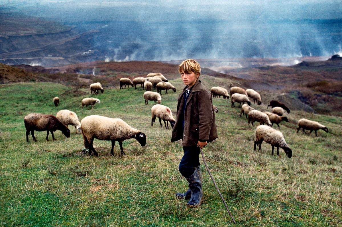 Young Shepherd and his flock in front of toxic smoldering underground coal seam fires, Kosovo, Former Yugoslavia, 1989.