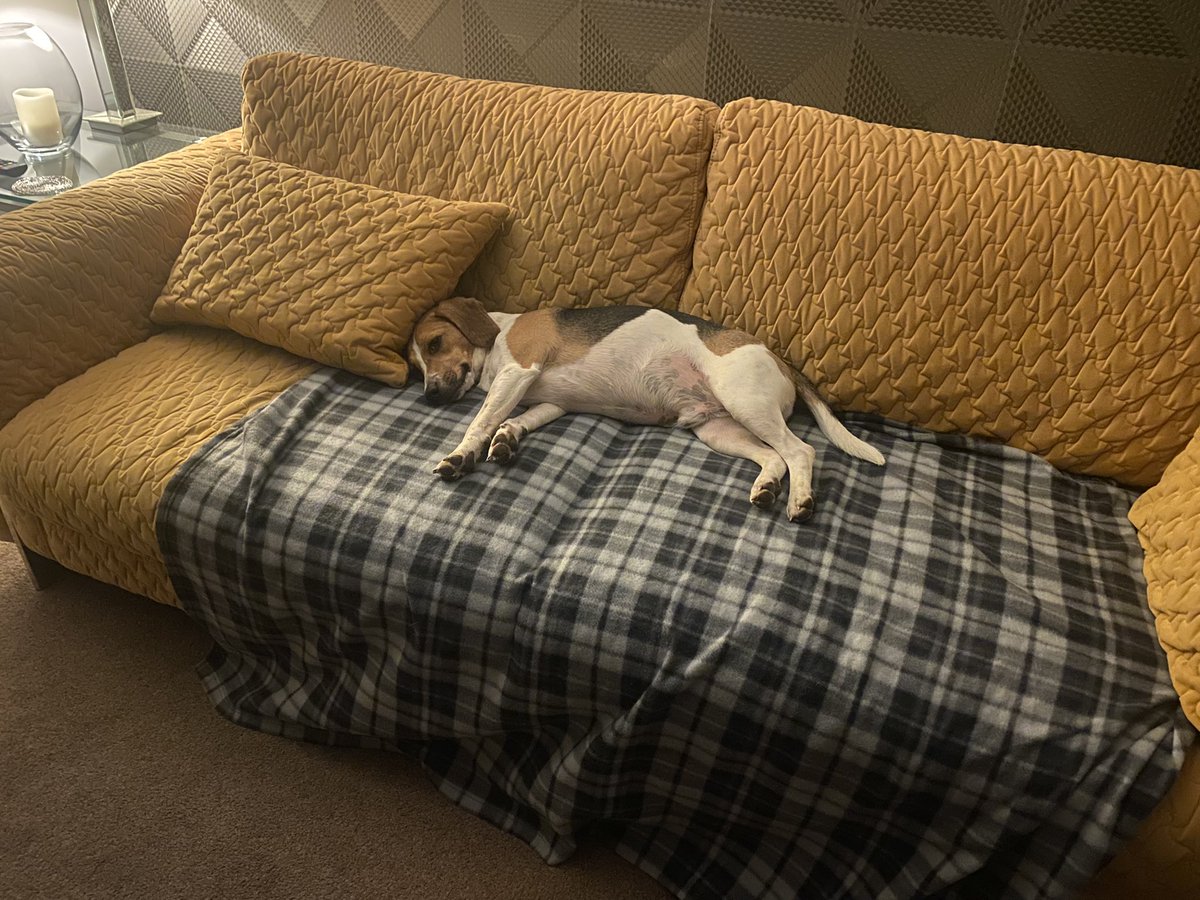 The upstart is on the settee