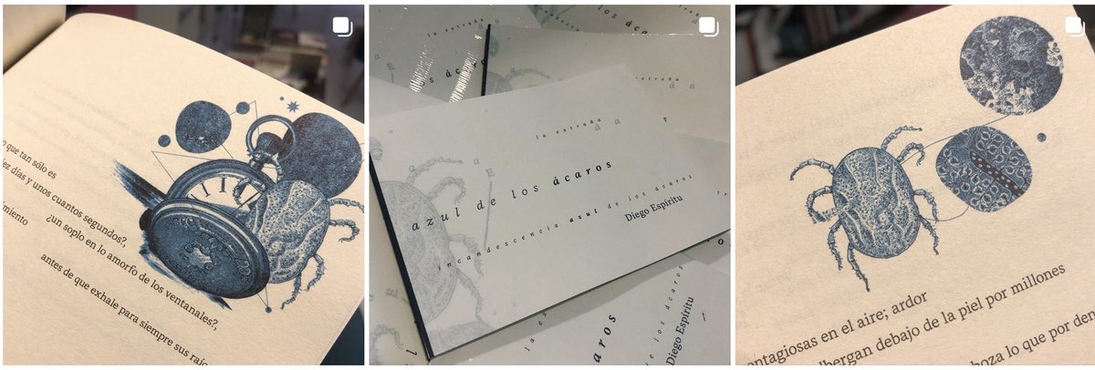 acaridaa's tweet image. muchas gracias por regar ayer los ácaros por  todos lados, al @el_entusiasmo, a @agustinaaaa_v y @samuemx, a @Gabinooh , @Gretavonhell , @CyborgGrafico #AndresMoscoso #PabloRodríguez &amp;amp; a las personas que ya los tienen

puedes ver la presentación aquí ⬊
youtube.com/watch?v=rg7wkY…