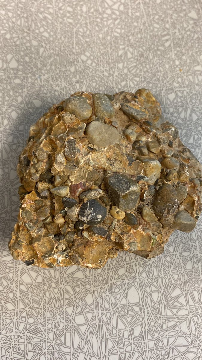 How cool is this? One of our grade 3s found it outside and we have been making our own observations 🔍 What do you see, or wonder about?