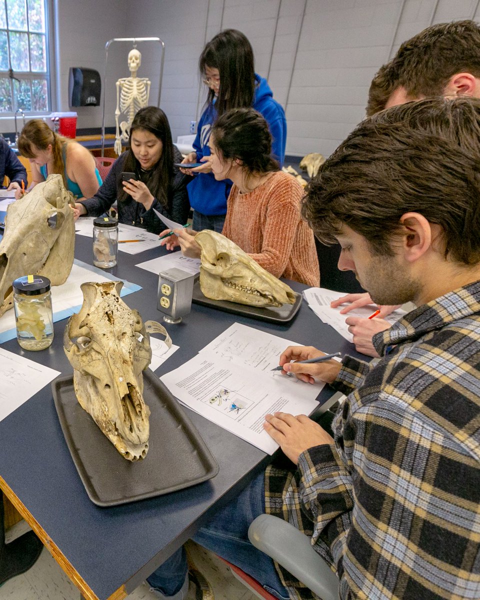 Duke Admissions tweet media