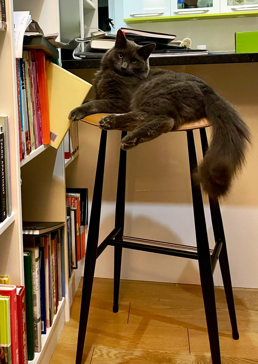 Rachel Rowlands tweet media