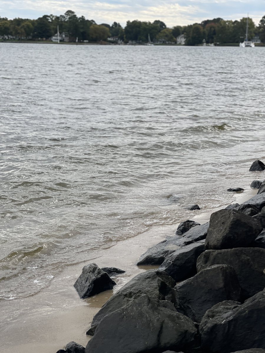 Woke up and decided to wander through parts of the east coast. Liking the view in St. Michael’s today! #mdinfocus