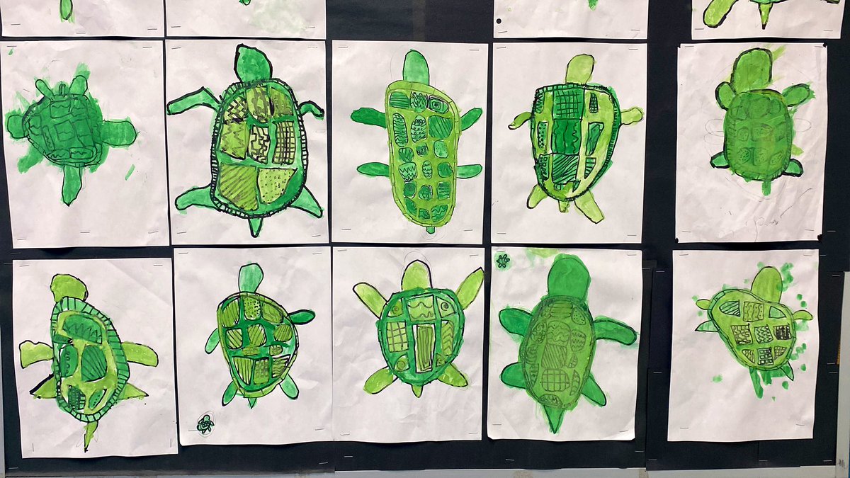 After learning about the creation story of Turtle Island, students had a chance to draw their own turtles with a focus on lines within the elements of art. Students created their own line designs and then painted using water colours.