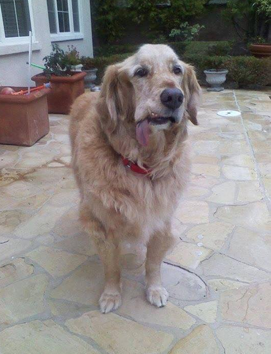 Dalbodog's tweet photo. I suffered a stroke, but my mom thinks I'm still beautiful. Do you agree 😍? https://t.co/uW2SGa2JTG