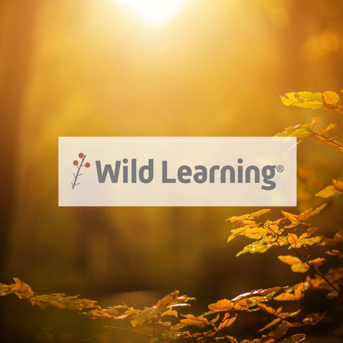 WYOEducation's tweet photo. #WyDeptEd announces the endorsement and partnership for Get Wild Wyoming from author Rachel Tidd of Wild Learning. We are excited to have her guidance as we move along this adventure! Info: https://t.co/3xVUYHsPEV
#GetWildWyo #WyoEdChat #OutdoorLearning #WildLearning #Wyoming https://t.co/jywBd2SeUO