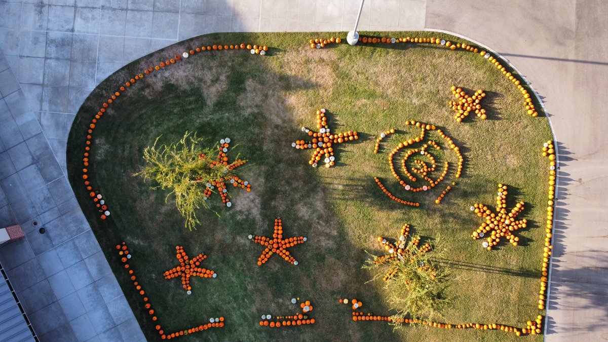 Join us tonight for our 2nd Annual Rocky's Round Up! All funds raised will support student enrichment.