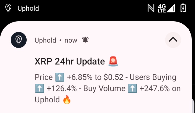 StephanieStarrC's tweet image. #loadup

👀👀👀👀👀👀👀👀