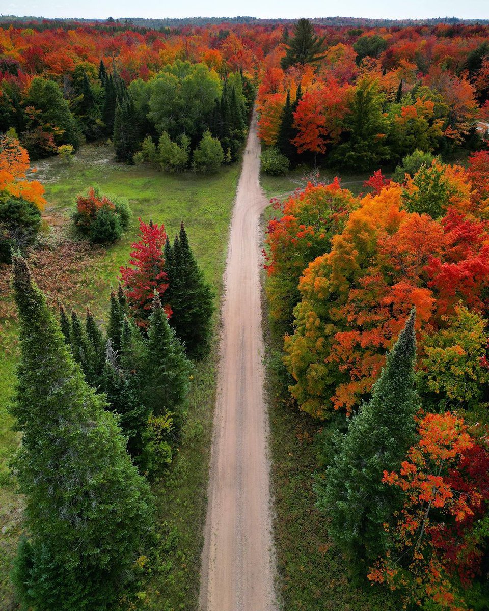 On the road again. Save this link to keep up with all the things happening all over Michigan this fall. 

📸: Instagram fan greatlakesgreatliving
📍: Eckerman 🌲 
🗓️: October 2023
michigan.org/fallcolormap
#KeepFallFresh #FallFilter