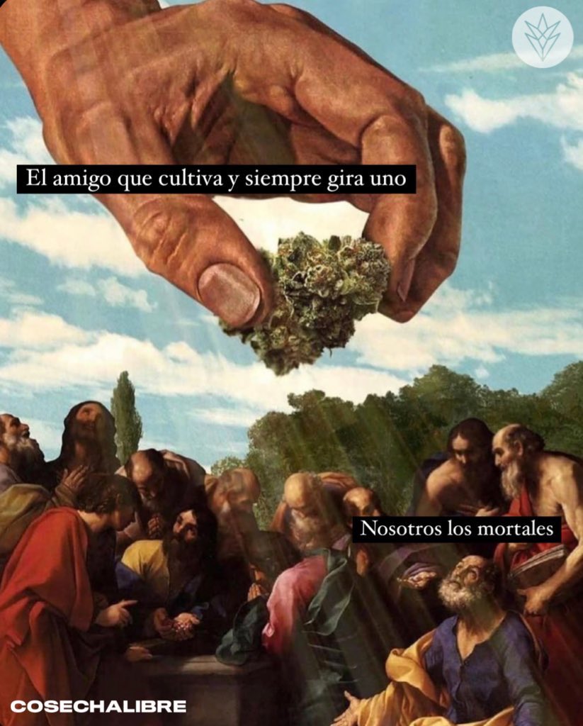 CosechaLibre's tweet photo. https://t.co/HLVtF1lFrL