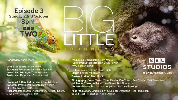 audiouproar's tweet photo. Last in the series. Been great to provide the audio post for these amazing programmes. You wouldn’t believe where the water vole ends up. And be prepared to pretend you have a little something in your eye… Sunday night, 8pm, BBC2.  #AudioUproar https://t.co/4xr0xMwz75