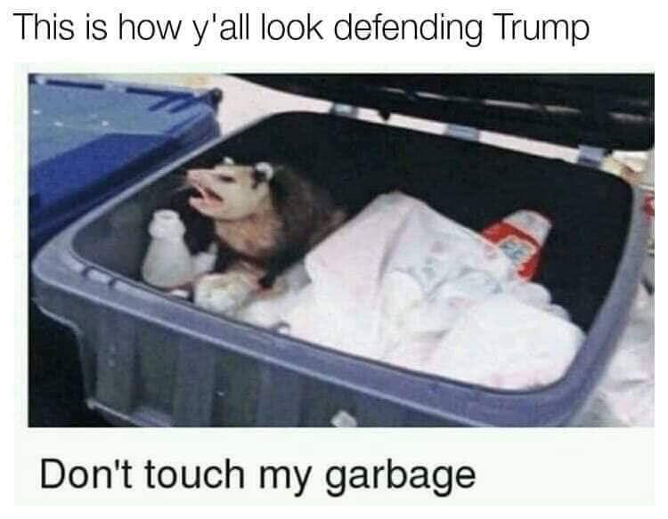 EduGator tweet media