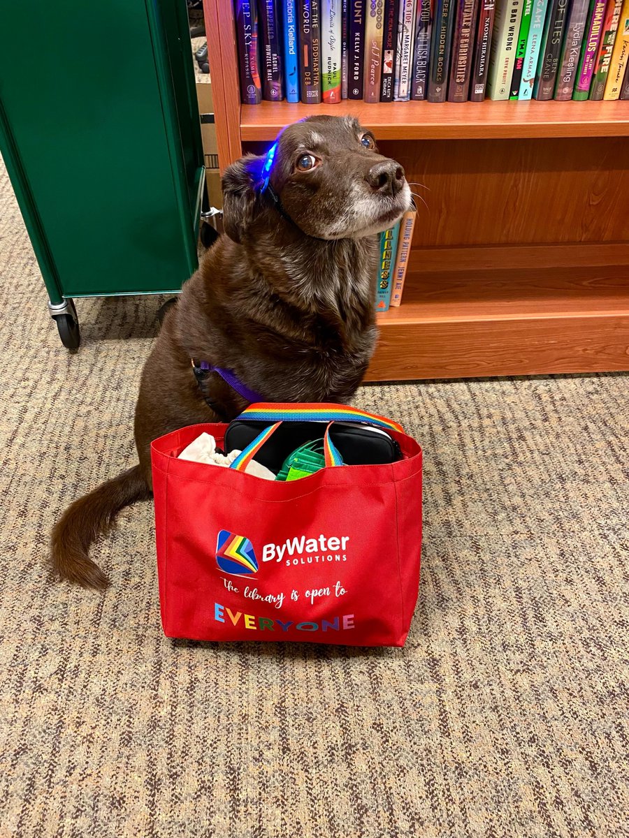 ByWaterSolution's tweet image. Princess the Labrarian is ready for the weekend! She's got her ByWater gear and new books from the Milton Public Library. Do you have any fun plans this weekend?? @miltonlibraryvt

#librarydogs #librarians #booksbookbooks