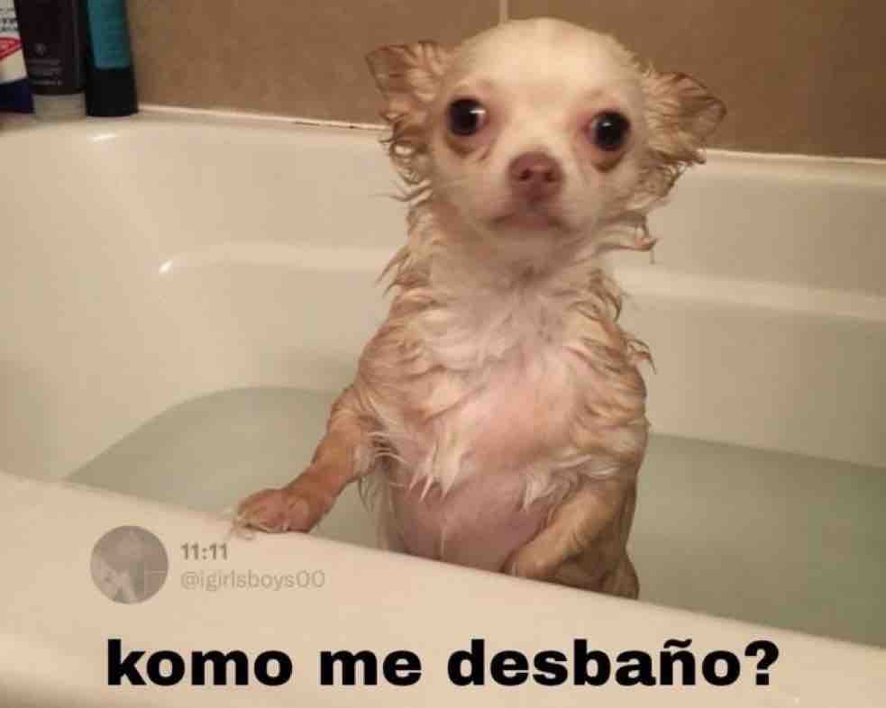 Guarromantico_'s tweet photo. *Alguien con quién iba a salir me cancela la salida*

Yo: https://t.co/WiJT0F19h6