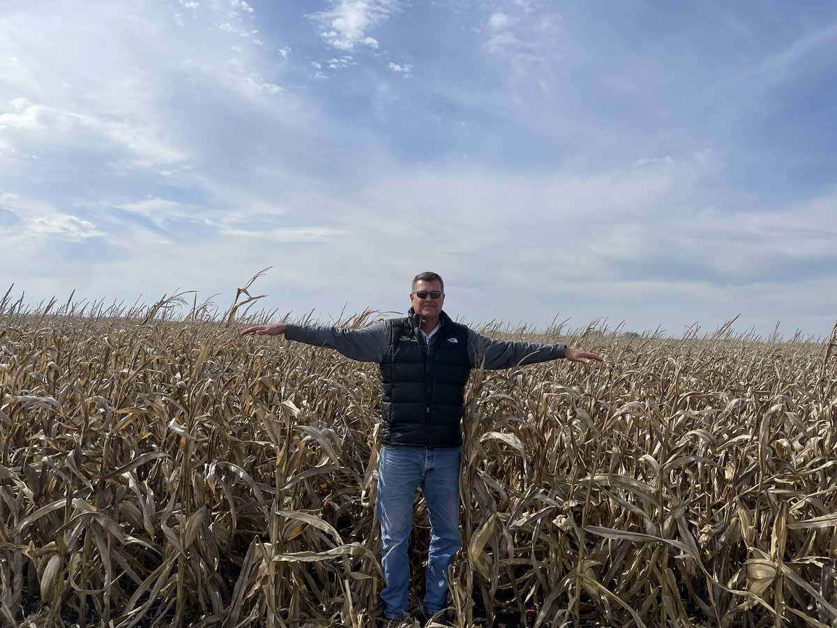 DKAS_NIN's tweet photo. Tall @Asgrow_DEKALB rep in #Preceon #ShortStatured corn! Pat Haan loves walking #SmartCorn fields because he doesn’t have to worry about leaves hitting him in the face! #Harvest23 #CornThatPerforms #BayerUp @BayerTraits @BayerCornUSA https://t.co/PrQ51RK7Gx