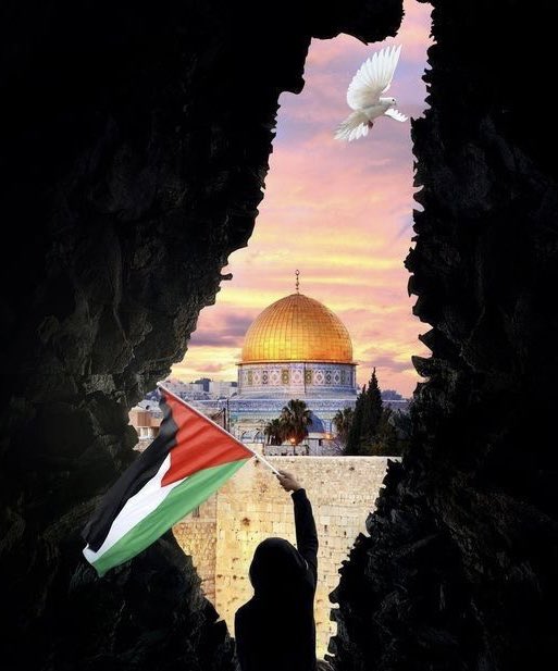 غصّة المؤمنين

#غزة_الآن 
#فلسطين_الان 
#غزة_تستغيث