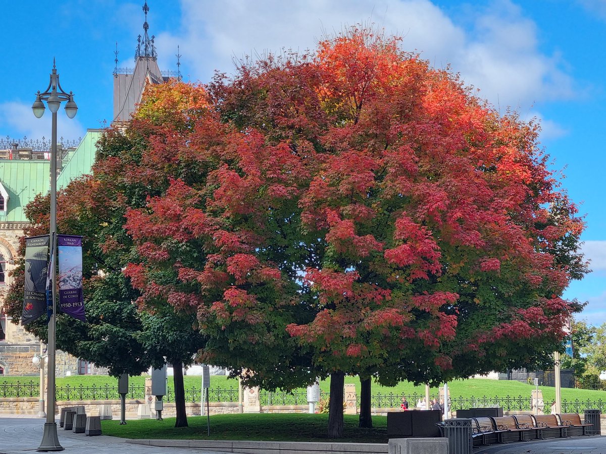 Ending my short visit to Ottawa. Ottawa and the Gatineau Hills, you certainly are in your glory in the autumn time! À la prochaine...