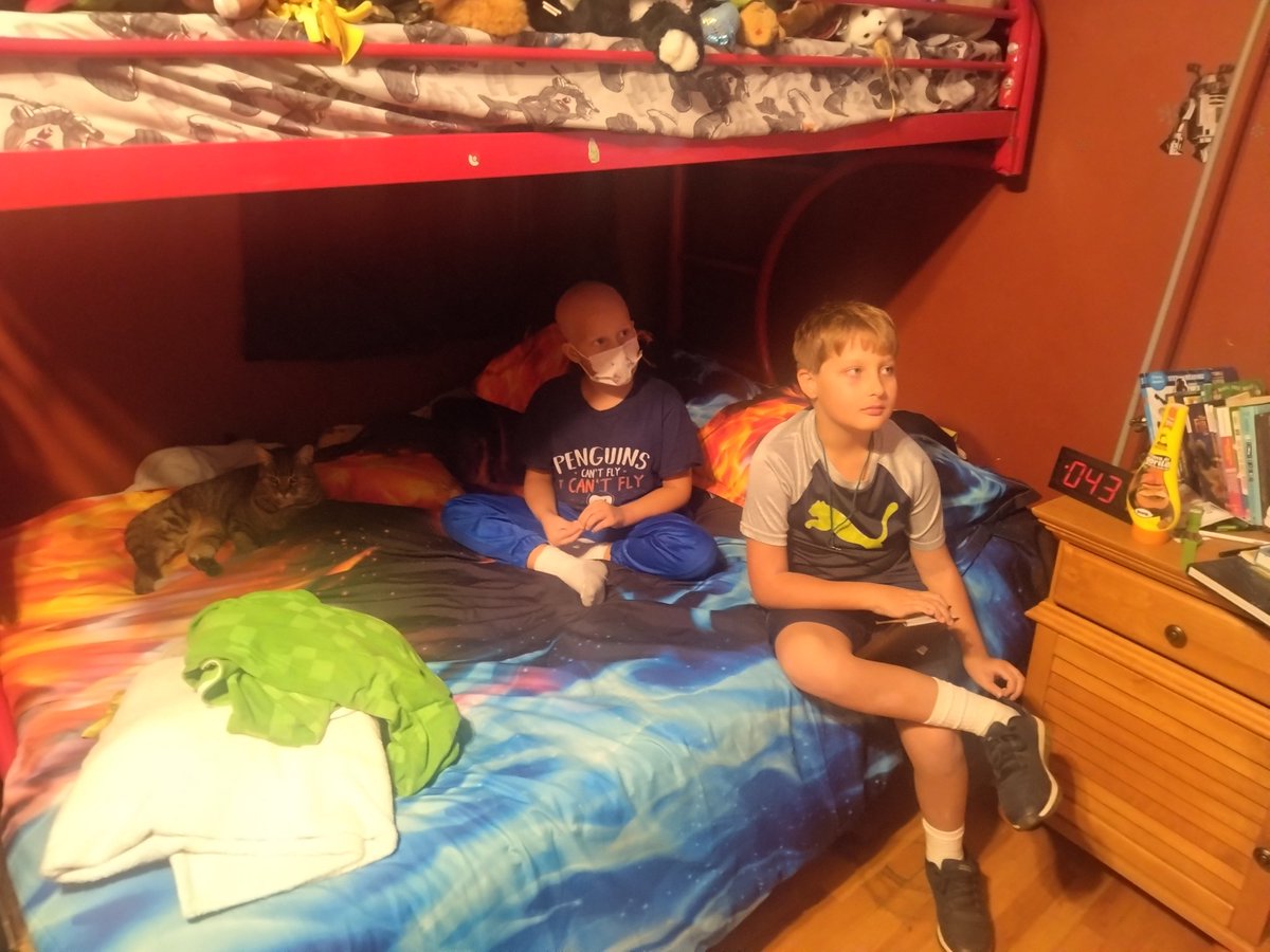 LonnieLMcMillan's tweet photo. Home with his brother and kitten sister. https://t.co/c7OrQVxWbA