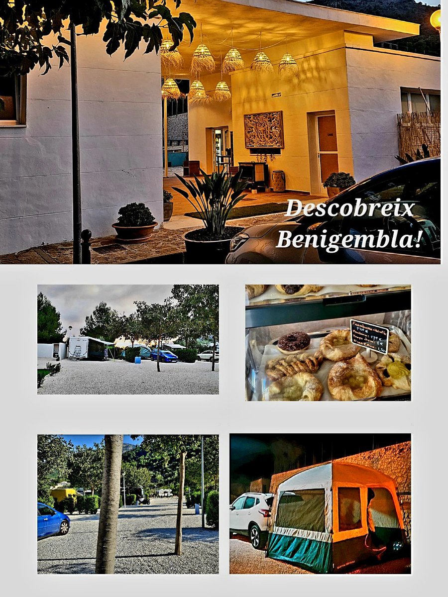 Gatinvisible's tweet photo. Nou Càmping a #Benigembla https://t.co/iUvUqMOCnp