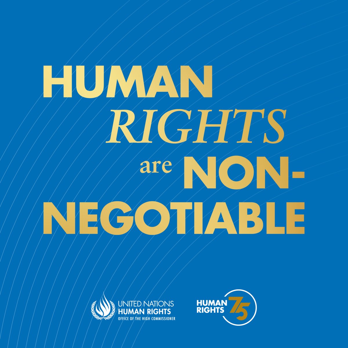 Right to life
Freedom
Justice

Human rights belong to all of us. They are non-negotiable.

#StandUp4HumanRights