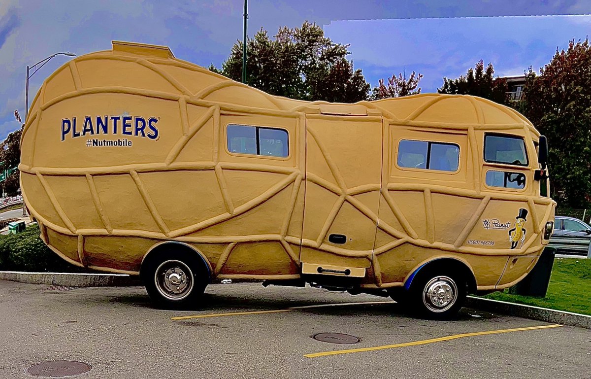 Paula Rei-Bonds (@bondsrei) on Twitter photo 