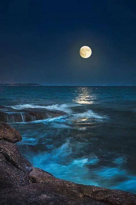 في ظل ما نمر به من ظروف فمن الطبيعي أن نشعر بالقلق، أو الخوف أو الحزن أو الملل، هذا لا يجعل منا ضعفاء بل هي مشاعر طبيعية لظروفٍ غير طبيعية نعيشها
 فاحذر أن تتهم نفسك.
 حاول ان تفكر بالإيجابيات في كل أزمة و تمضي برضى في الحياة .
الحمدلله دوماً وابداً
احبك ربي من كل قلبي 💙🤍💙