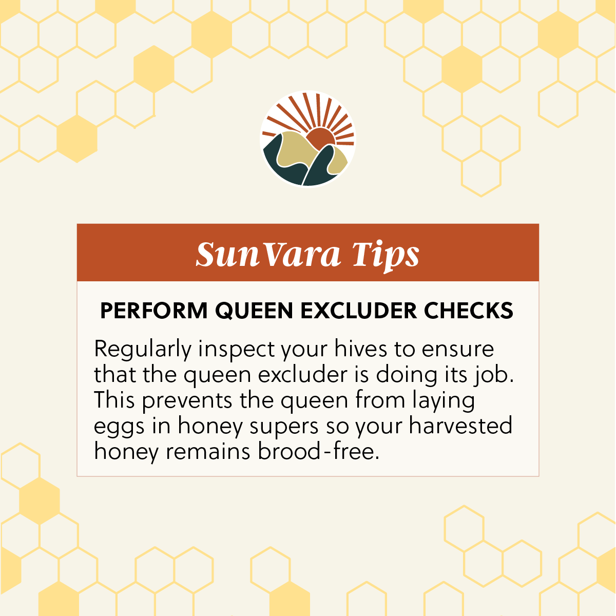 sunvaraco's tweet photo. #SunVaraTips 🐝

A beekeeper's secret to pure, brood-free honey is regular inspections. They are your shield against any royal surprises in the honey supers 🍯�� https://t.co/Y2lLpzXkK4