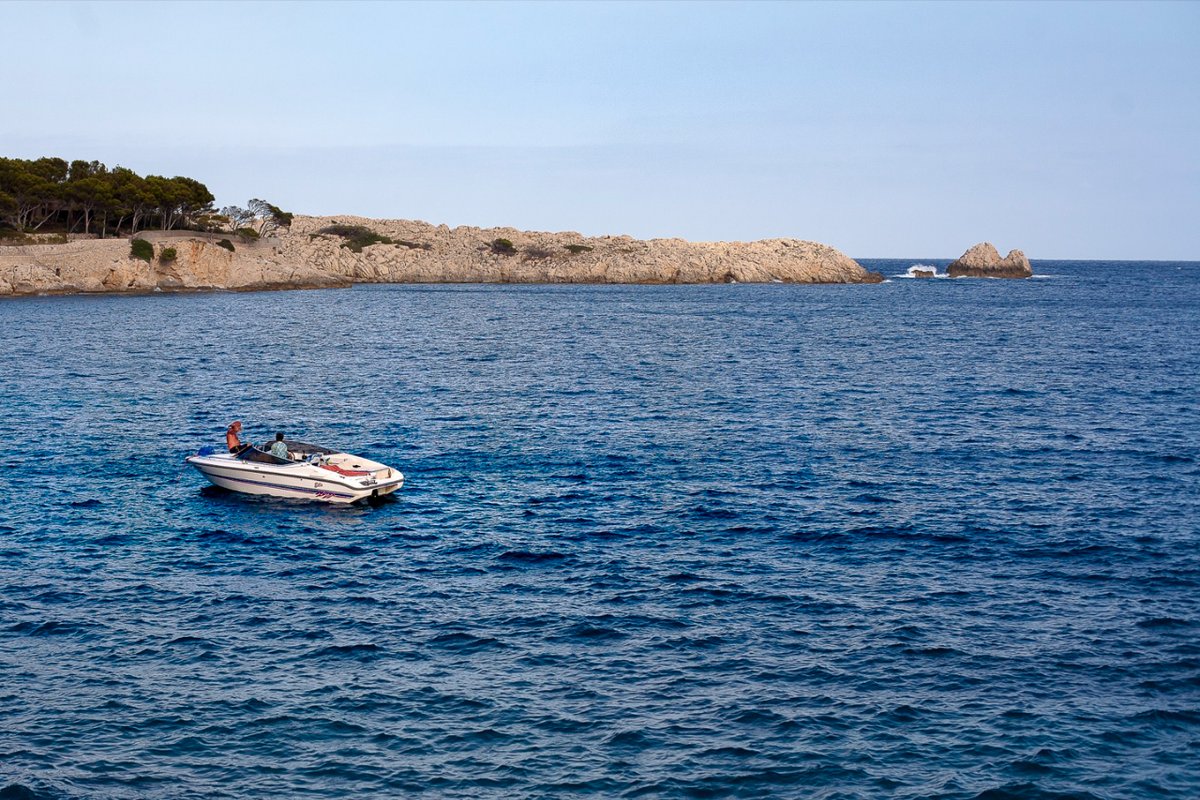 Capturando momentos auténticos con pasión. Mi lente revela la belleza de lo espontáneo. Cada clic es un paso hacia la excelencia. #FotografíaNatural #ArteVisual #ClicPerfecto #CapturaEmociones #PasiónPorLaFotografía