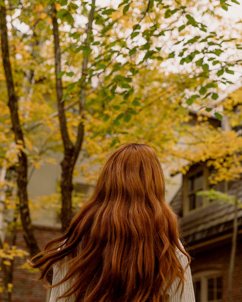 TheAmericanClub's tweet photo. There's nothing like Destination Kohler in the fall, and The American Club is looking exceptionally gorgeous as a backdrop to this weekend's event.

#KohlerFoodWine #Autumnal #FallColors #DestinationKohler https://t.co/JUZFDoOHCn