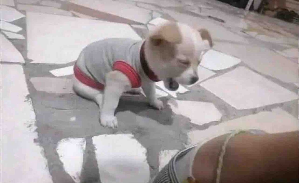 Guarromantico_'s tweet image. Yo risa y risa en el jale como si no tuviera cosas que hacer.