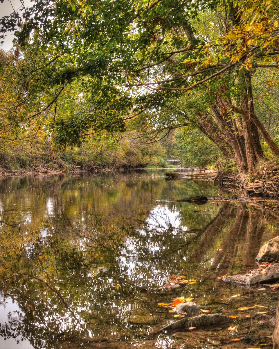 Along the Kokosing River in Gambier OH.

#knoxcountyohio #knoxcounty #visitknoxohio #knoxways #ohiohasit #ohiofindithere #getawayohio #bestofthebuckeyestate #lovewherewelive #trekohio #cssualttekkers #river #autumnvibes #autumn #ohio #nature #naturelovers #naturephotography