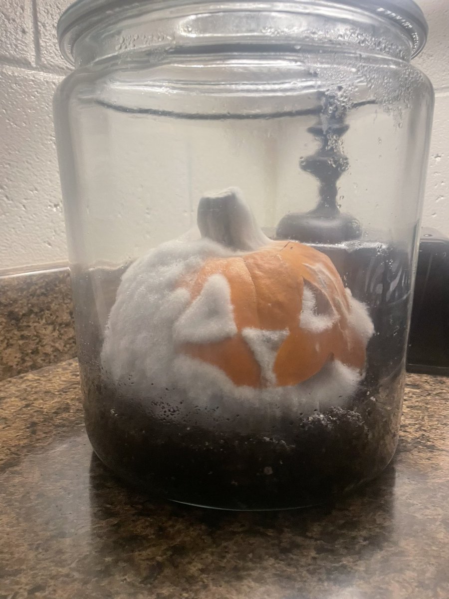 A few weeks ago we read a book called “Pumpkin Jack”- a story about a pumpkin who decomposes. We have loved watching our own Jack change in his jar!!!  <a href="/ClarkCreekSTEM/">Joey Moss</a> <a href="/CLaneLiteracy/">CLane</a>