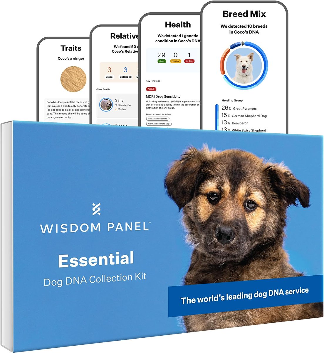 petessentialhu's tweet photo. 🐶 Discover your dog's secrets with **Wisdom Panel DNA Kit**! 🧬✨
- 365+ breeds detected 🐾
- 30+ health insights 🏥
- Find their relatives &amp; compare traits 📸
- Tested on 4M+ pets globally 🌏

Check it out @Amazon: https://t.co/eVMi8kFR0z

#WisdomPanel #DogDNA 🐕💕 https://t.co/DNAN2xSmhc