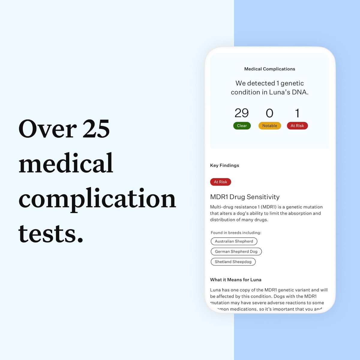 petessentialhu's tweet photo. 🐶 Discover your dog's secrets with **Wisdom Panel DNA Kit**! 🧬✨
- 365+ breeds detected 🐾
- 30+ health insights 🏥
- Find their relatives &amp; compare traits 📸
- Tested on 4M+ pets globally 🌏

Check it out @Amazon: https://t.co/eVMi8kFR0z

#WisdomPanel #DogDNA 🐕💕 https://t.co/DNAN2xSmhc