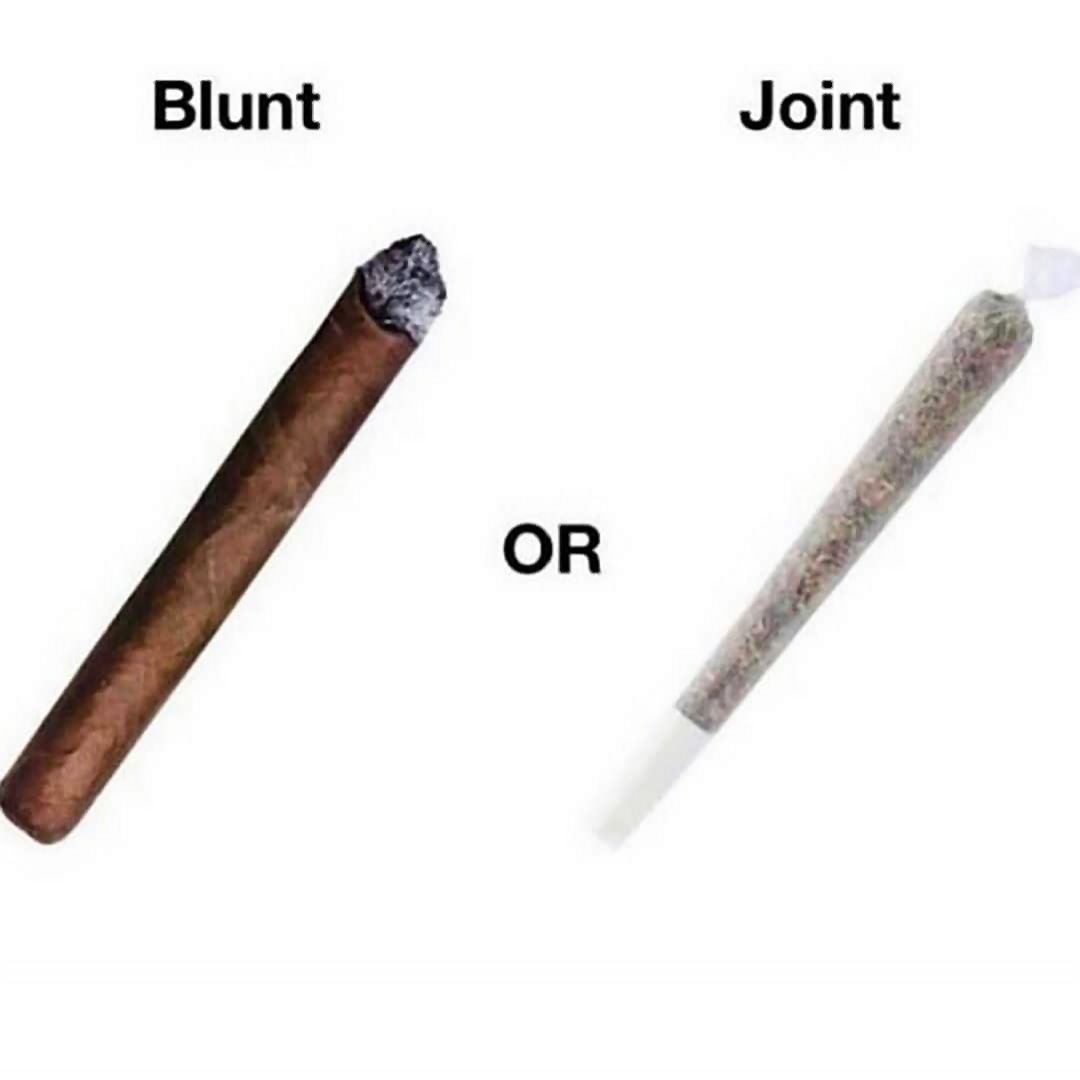 GeniusPothead 💹🧲 tweet media