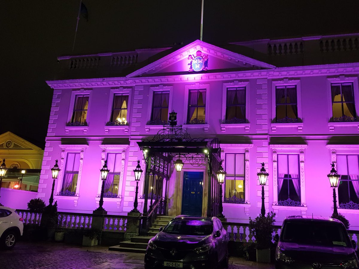 Mansion house lit up Purple for #DLDday thanks to <a href="/daithideroiste/">Daithí de Róiste</a> for your support 💜💛 <a href="/MansionHouseDub/">Mansion House Dublin</a> <a href="/RADLDcam/">RADLDcampaign</a> <a href="/iaslt/">IASLT</a> #DevLangDis