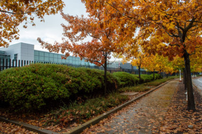 California Governor's Office of Emergency Services tweet media