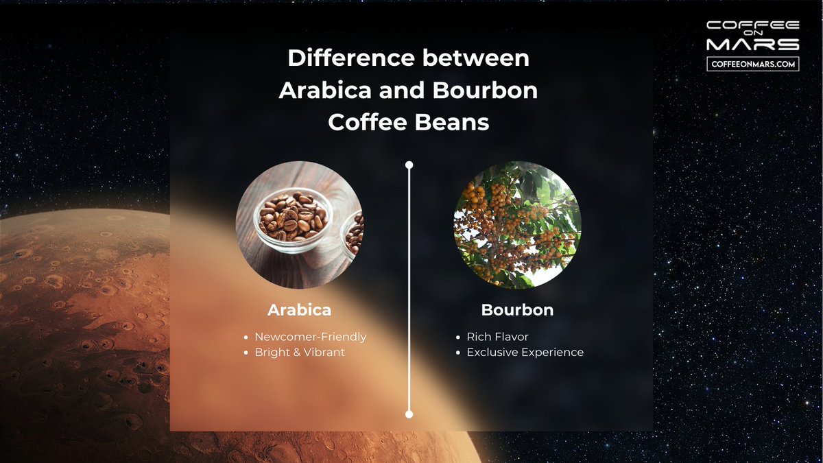 Arabica or Bourbon: What's your coffee personality? 🤔☕ Discover the key differences and find your perfect brew today!  #metabolismboost #wellnesschoice #sipandbefit #coffeebenefits #outofthisworldcoffee #healthycoffee #boostyourmetabolism #wellnessdrink #coffeeandfitness