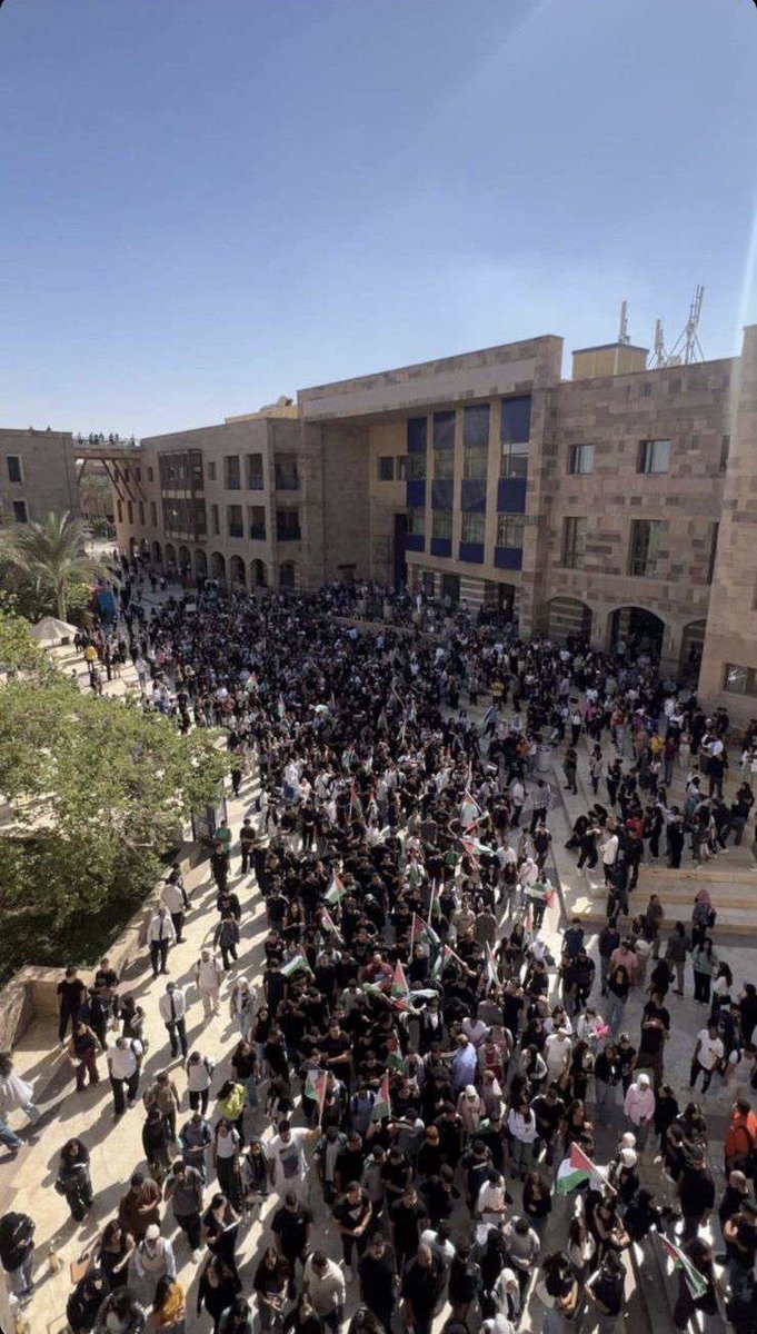 faridaarefaatt's tweet photo. From yesterday’s strike. We will not be silenced and we will keep fighting until this madness stops. القضية مش هتموت. #FreePalestine https://t.co/grxAfdn86e