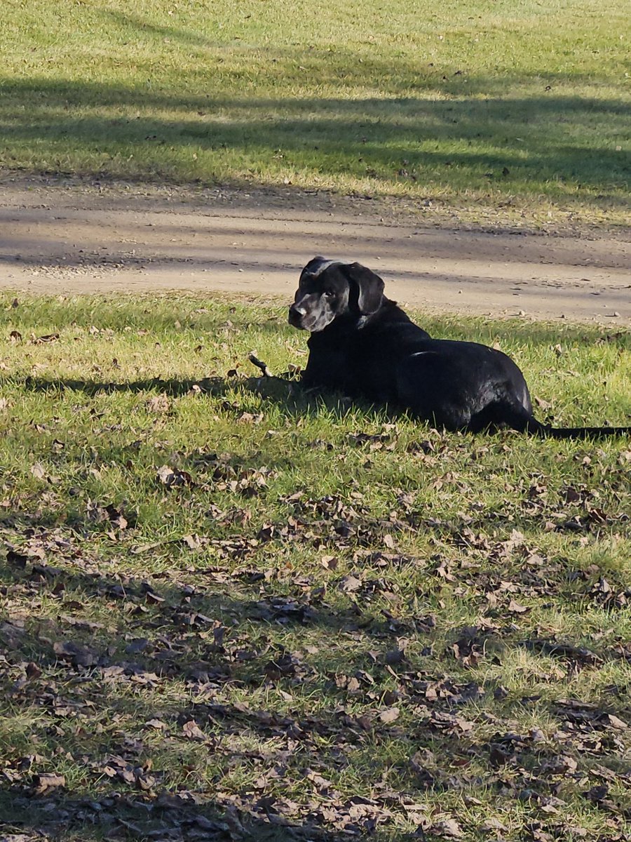 Takin a break in the sun. Been a long week t/d, spray, irr b/o