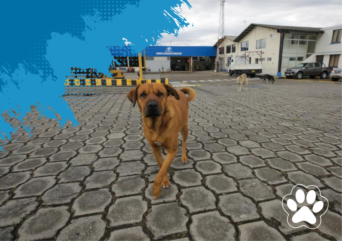 EP Petroecuador 🇪🇨 tweet media