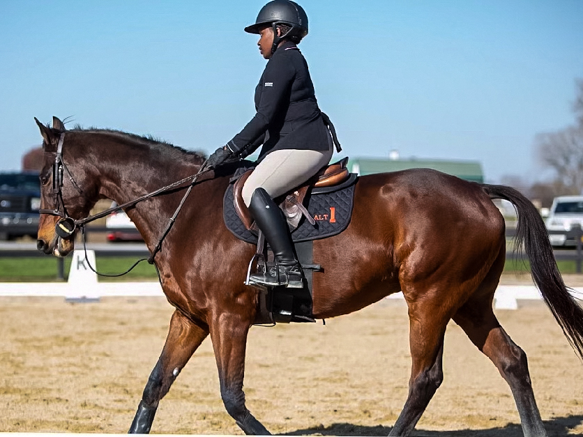 DSUEquestrian's tweet photo. ◂𝐓𝐞𝐚𝐦𝐦𝐚𝐭𝐞 𝐎𝐟 𝐓𝐡𝐞 𝐖𝐞𝐞𝐤‣

Taylor Gardine
📷 Senior, Biology - Pre-Med
📷 Stewart Manor, New York
Taylor has been riding horses for 15+ years and during the school year, she works on cancer cell research!

#stingem #DSUEQ #makeaSTATEment https://t.co/v7rvjjtoBo
