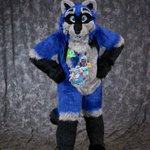 Photo by Dozer Trashpanda (@DozerTrashpanda)